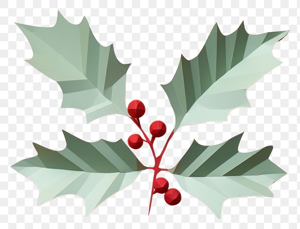 PNG Holly leave christmas paper plant. AI generated Image by rawpixel.