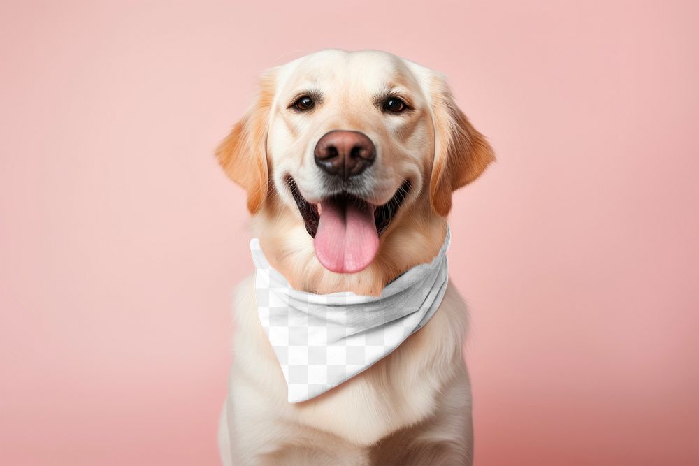 Dog's bandana, png transparent mockup