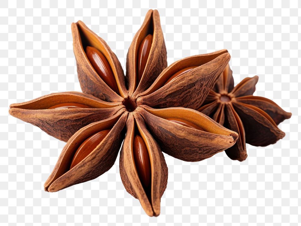 PNG Star anise spice fruit food white background ingredient. 