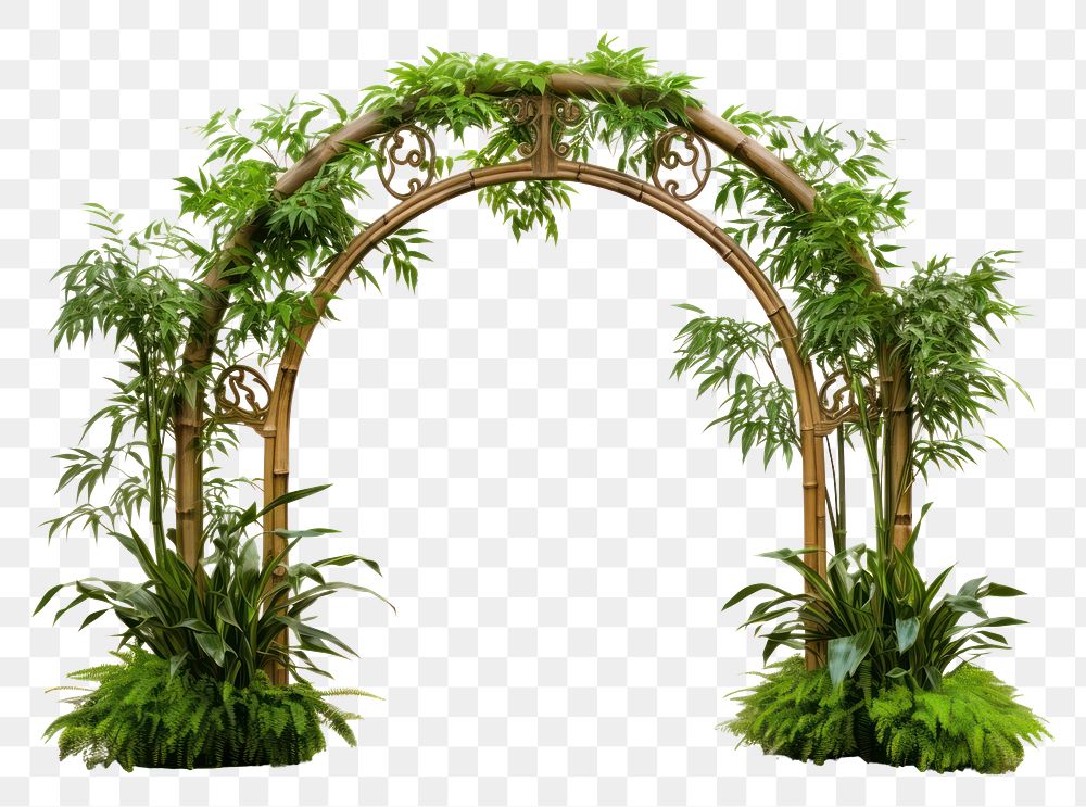 PNG Arch outdoors nature garden. 