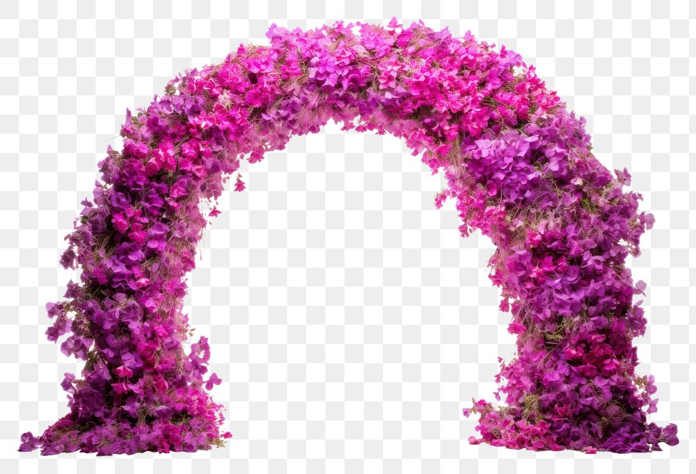 PNG Arch flower purple plant. 