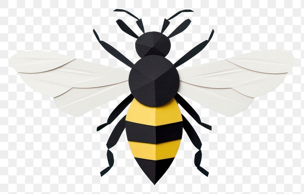 PNG Bee bee animal insect. AI generated Image by rawpixel.