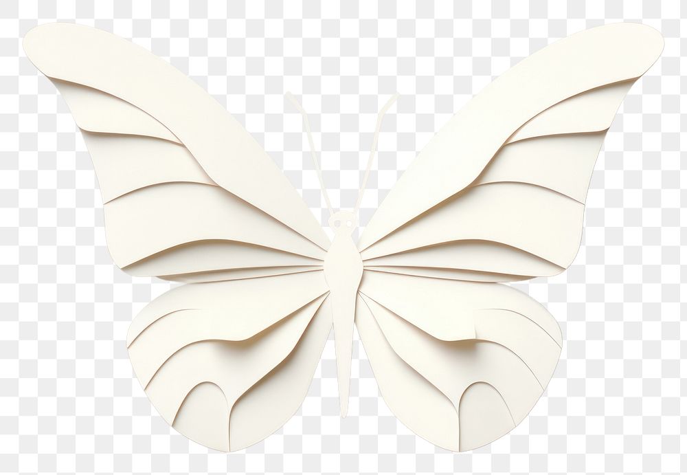 PNG Butterfly white art creativity. 