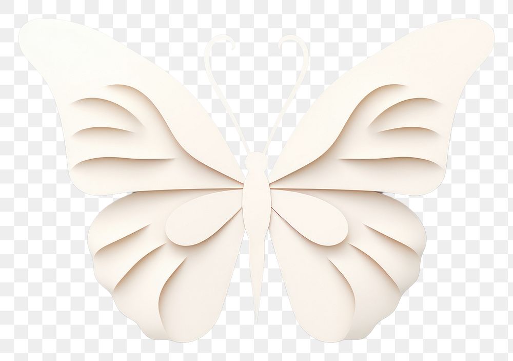 PNG Butterfly accessories creativity accessory. 