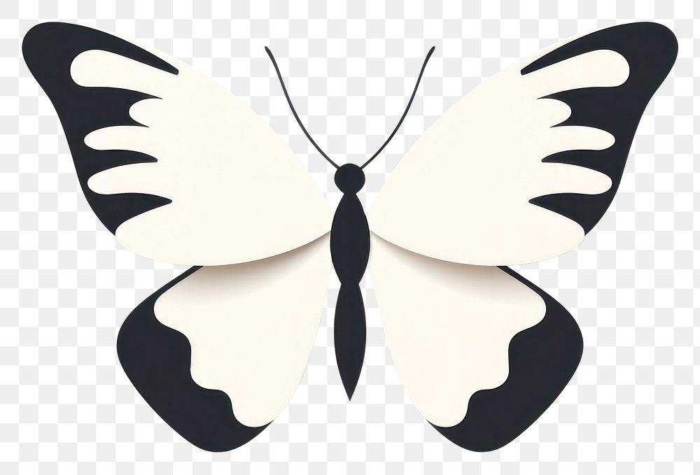 PNG Butterfly animal insect moth. 