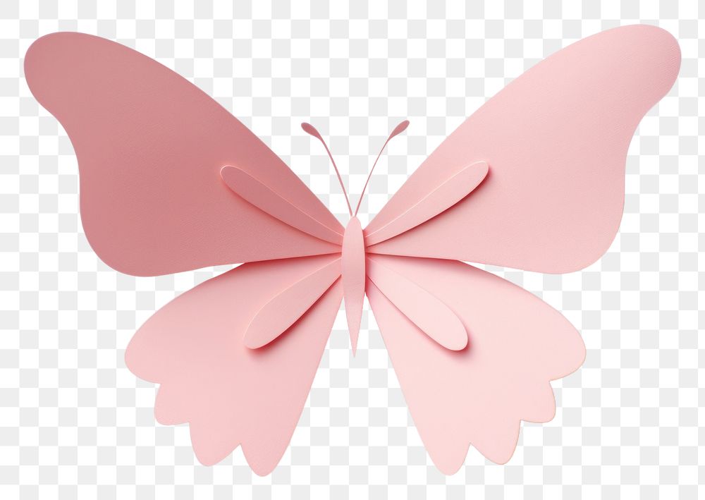 PNG Pink butterfly paper petal plant. 