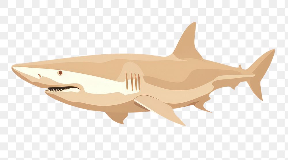 PNG Sharks wildlife animal fish. AI generated Image by rawpixel.