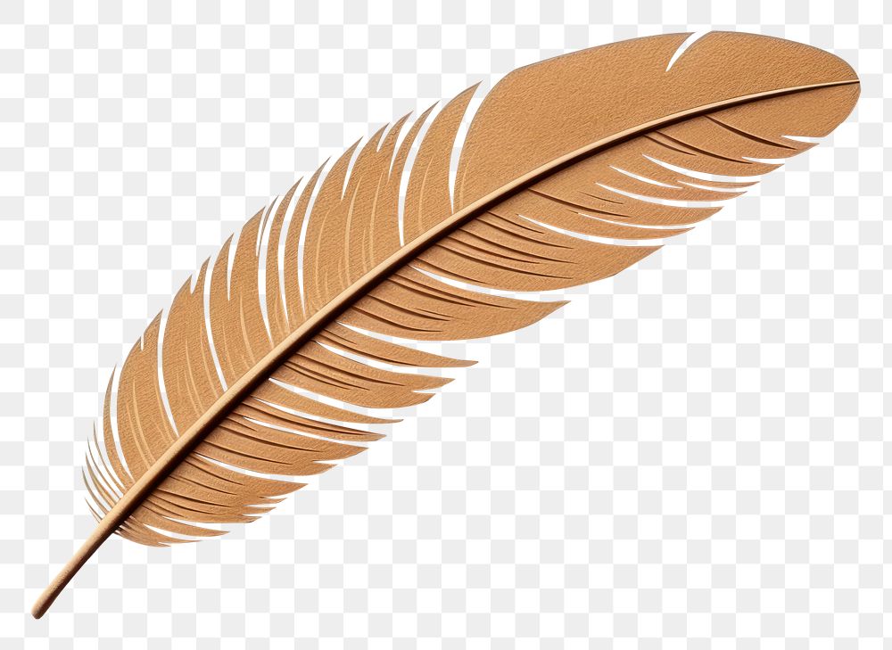 PNG Eagle feather leaf text  