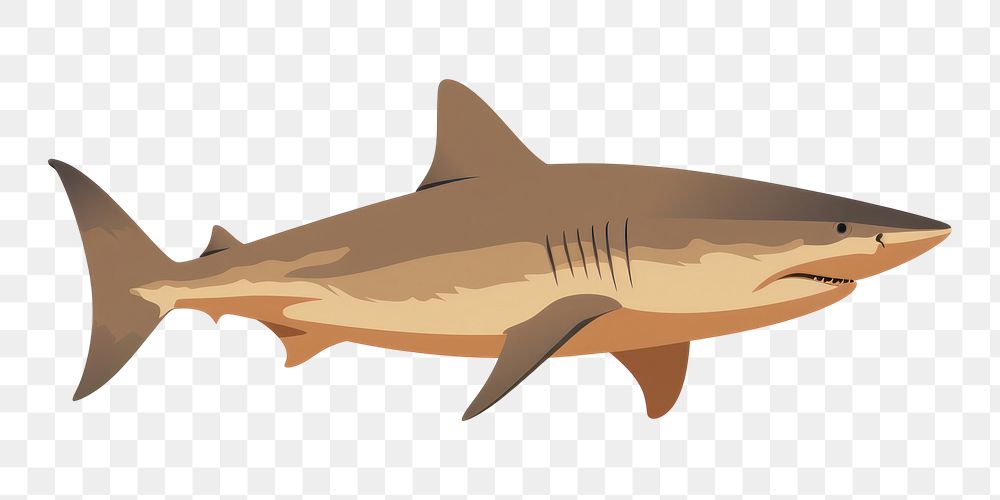 PNG Shark wildlife animal fish. AI generated Image by rawpixel.