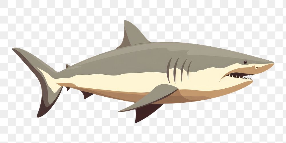 PNG Shark wildlife animal fish. AI generated Image by rawpixel.