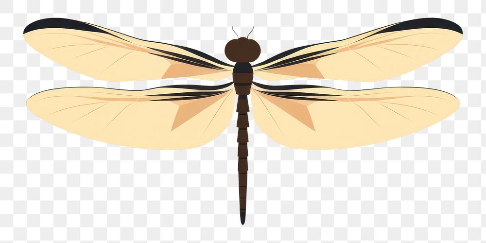 PNG Dragonfly wildlife insect animal. AI generated Image by rawpixel.