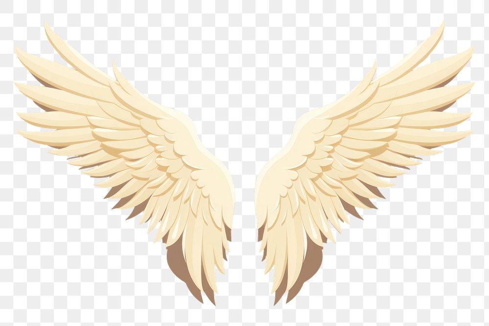 PNG Angel wings bird creativity archangel. 