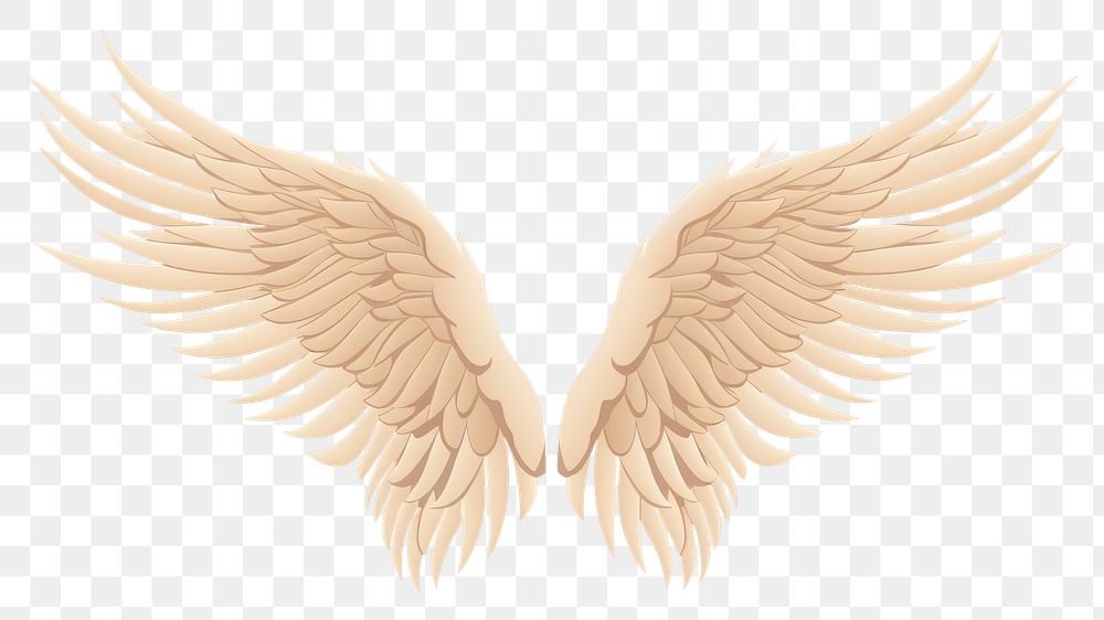 PNG Angel wings bird creativity archangel. AI generated Image by rawpixel.