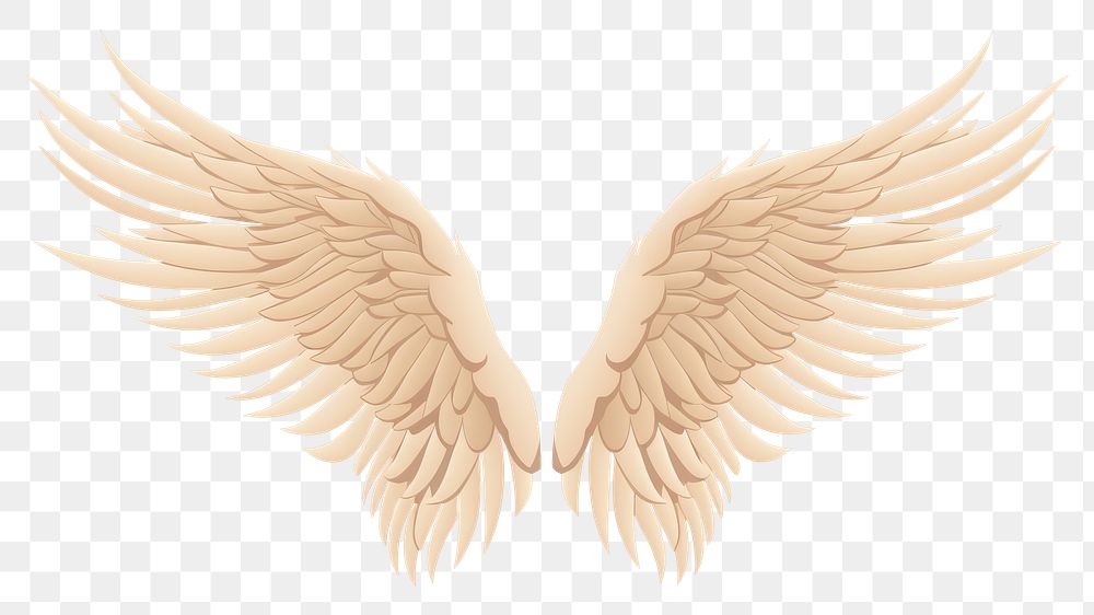 PNG Angel wings bird creativity archangel. 