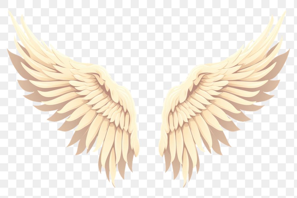 PNG Angel wings creativity archangel pattern. AI generated Image by rawpixel.