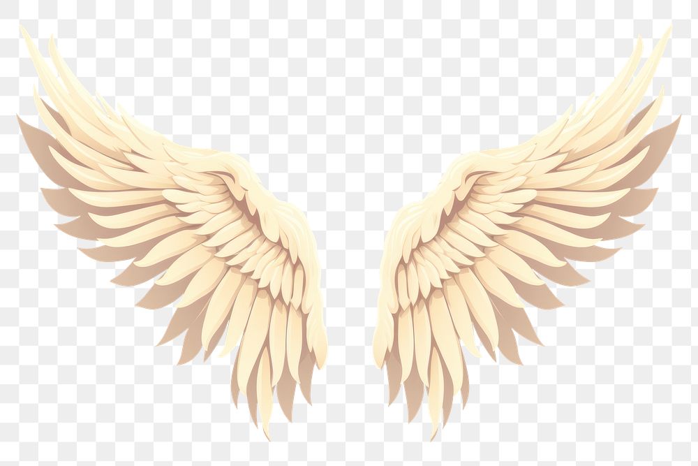 PNG Angel wings creativity archangel pattern. 