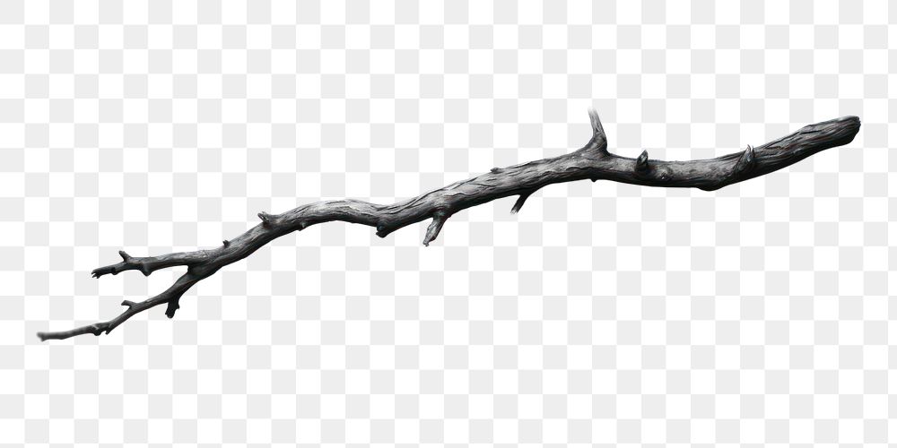 PNG Twig twig wood  