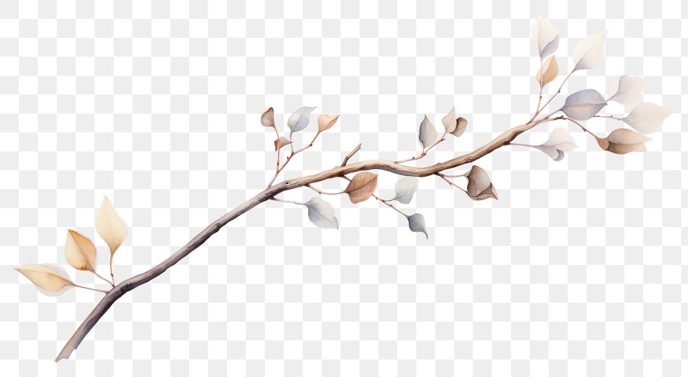 PNG Twig plant twig white background. AI generated Image by rawpixel.