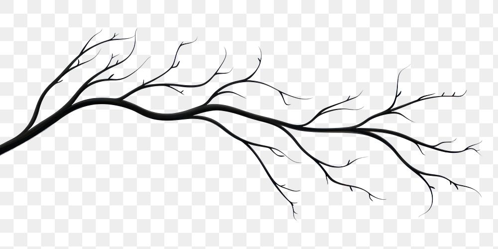 PNG Twig drawing sketch white. AI generated Image by rawpixel.