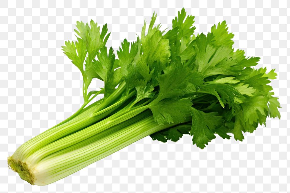 PNG Celery vegetable parsley plant. AI generated Image by rawpixel.