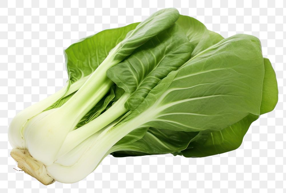 PNG Bok choy vegetable plant food. AI generated Image by rawpixel.