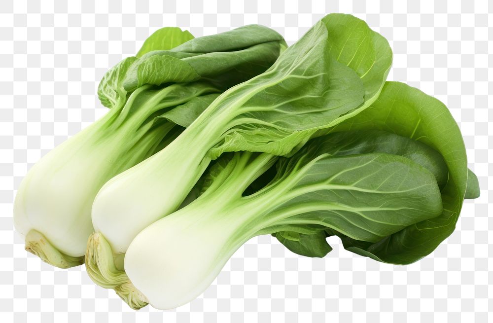 PNG Bok choy vegetable plant food. AI generated Image by rawpixel.