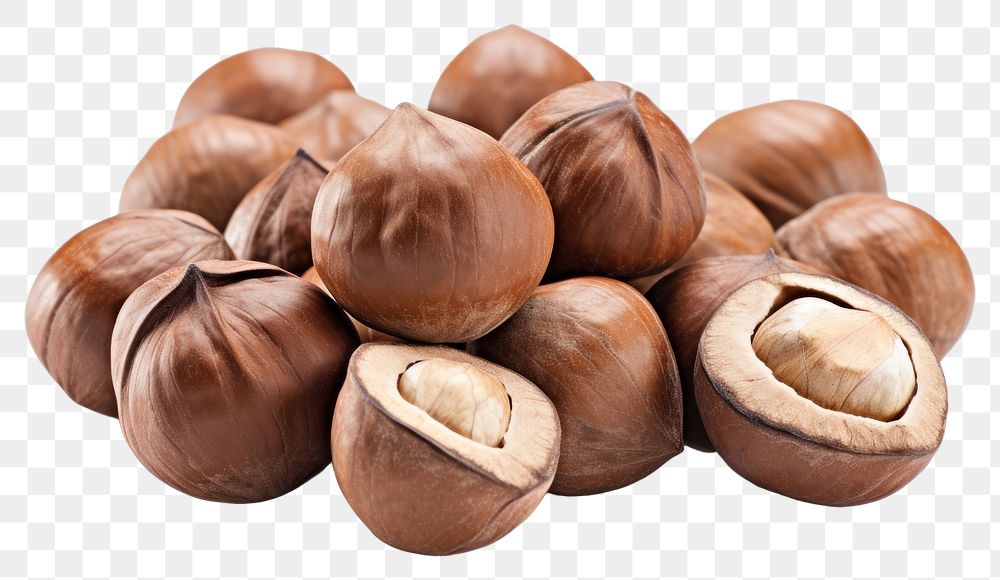 PNG Crack Hazelnut plant food white background. AI generated Image by rawpixel.