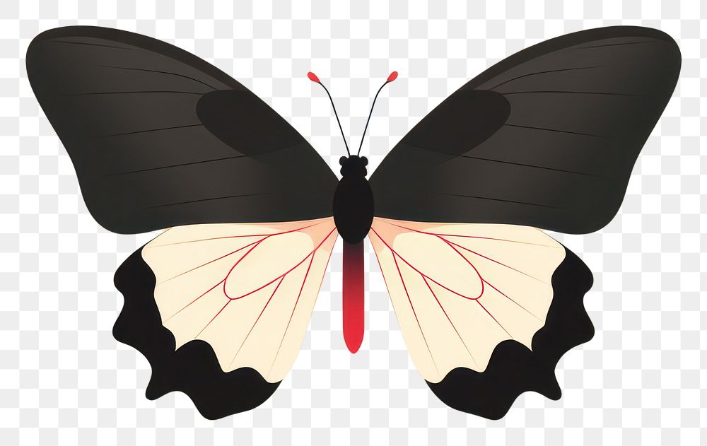 PNG Butterfly animal insect invertebrate. 