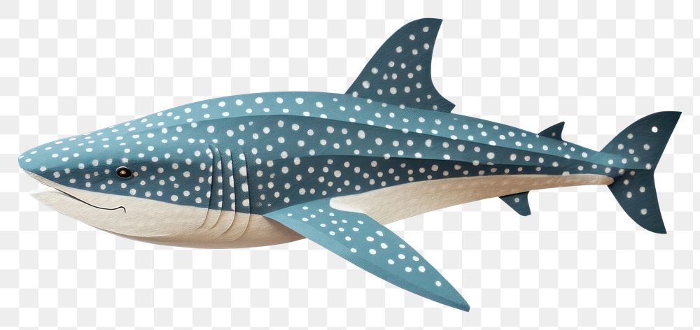 PNG Whale shark animal mammal | Free PNG - rawpixel