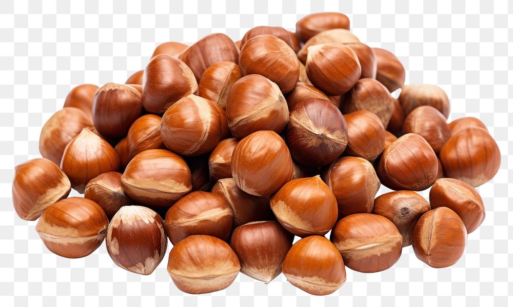 PNG Hazelnut backgrounds vegetable plant. AI generated Image by rawpixel.