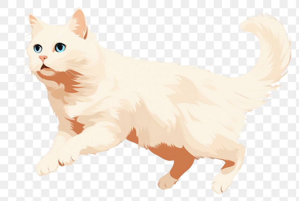 PNG Jumping white cat animal mammal pet. AI generated Image by rawpixel.