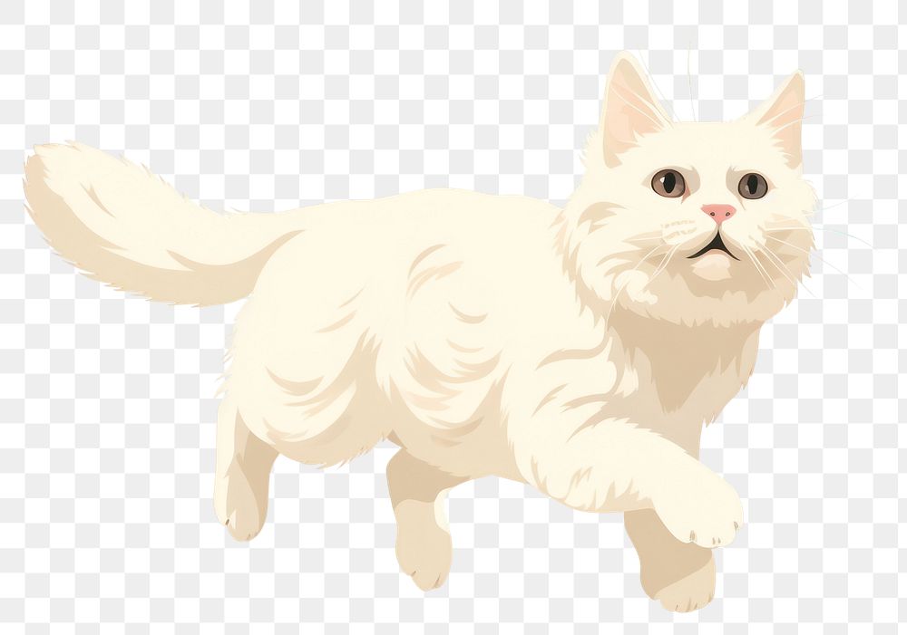 PNG Jumping white cat animal mammal pet. 