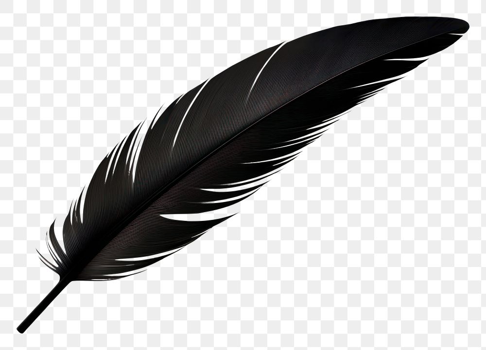 PNG  Feather black white background lightweight. AI generated Image by rawpixel.
