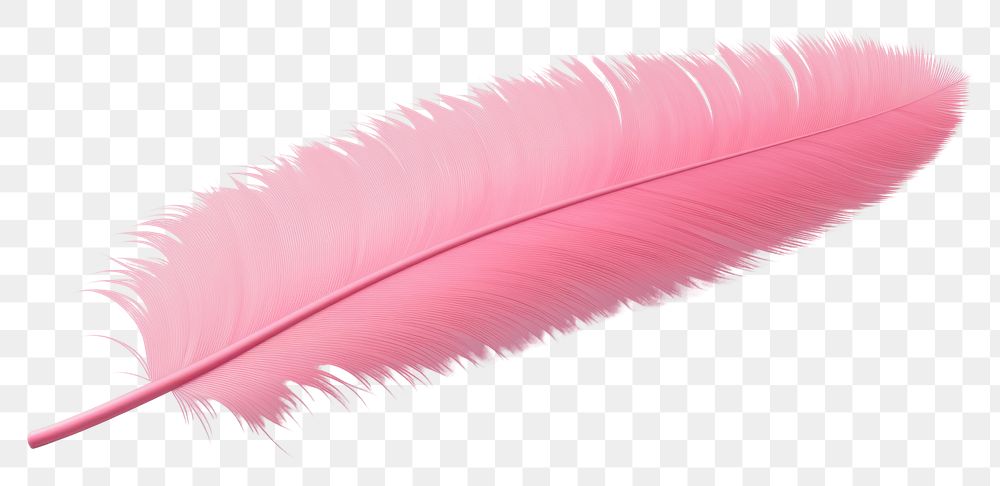 PNG Feather pink white background lightweight. 