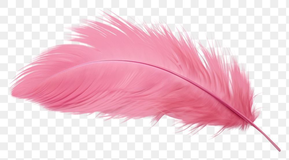 PNG  Feather pink white background lightweight. 