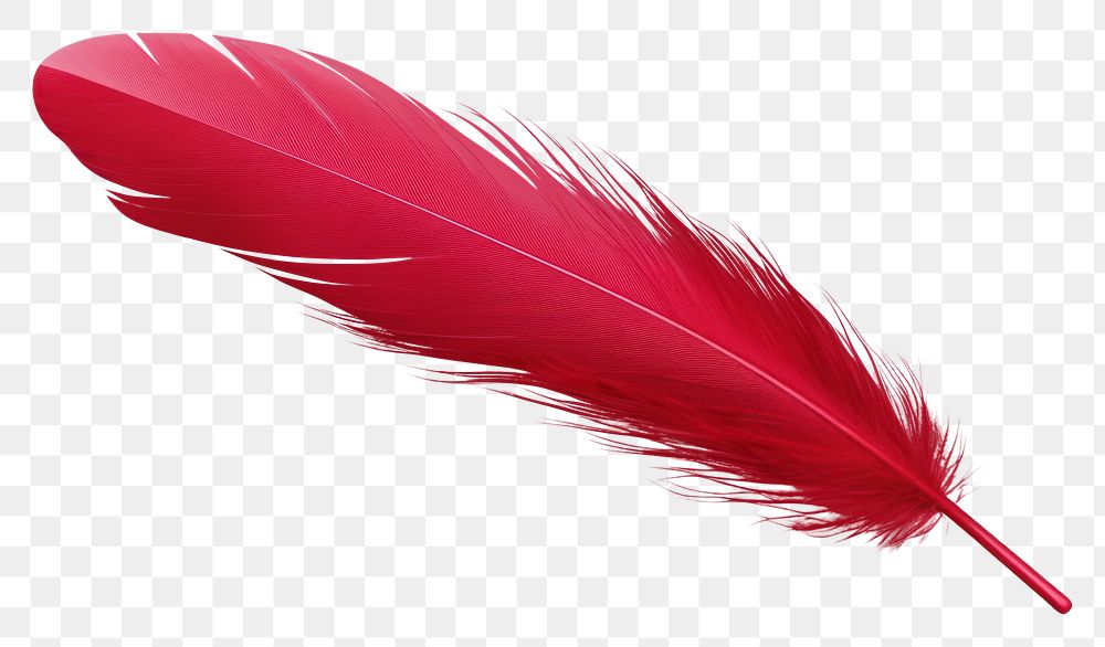 PNG  Feather red white background lightweight. AI generated Image by rawpixel.