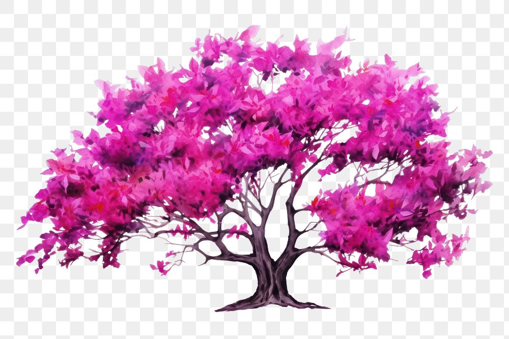 PNG Tree blossom flower purple. 