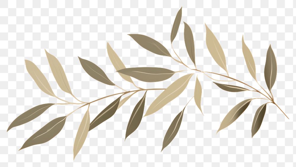 PNG Willow leaves backgrounds pattern plant. AI generated Image by rawpixel.