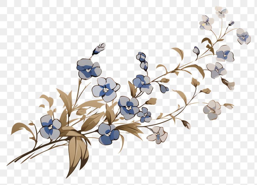 PNG Forget me not pattern flower plant. 