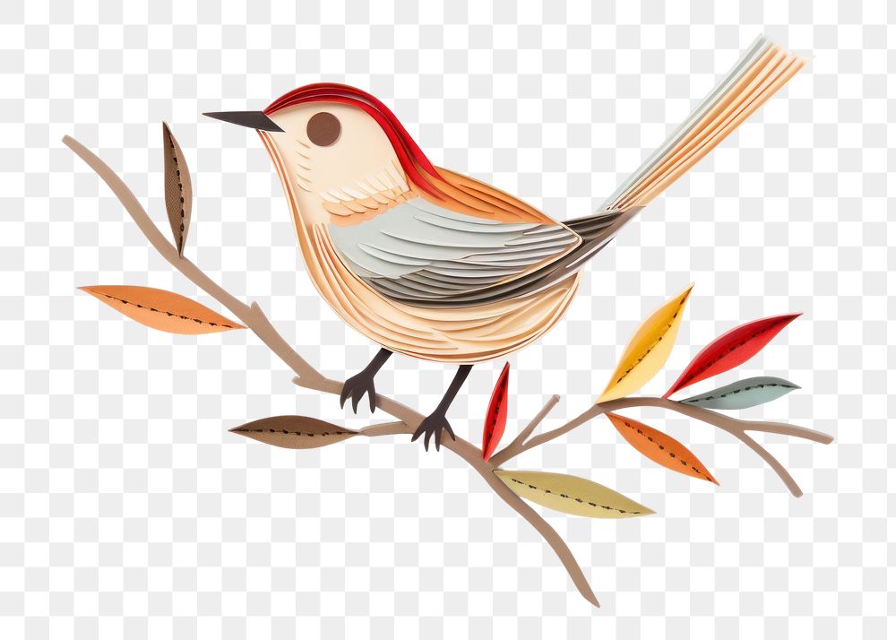 PNG Tailorbird animal art creativity. 