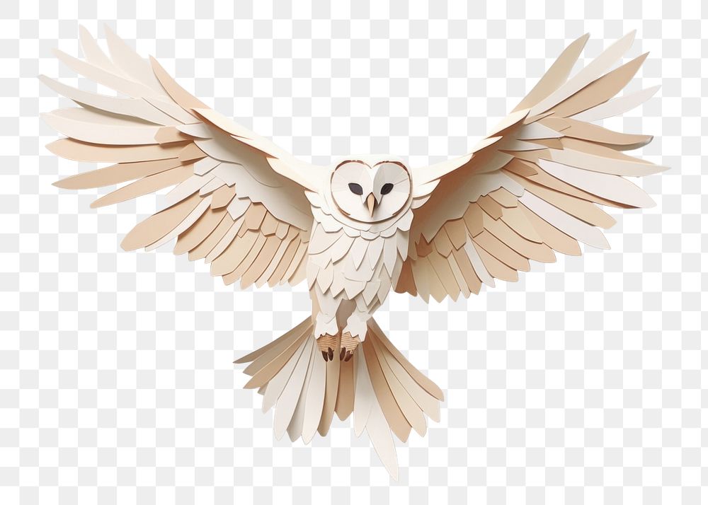 PNG Barn owl animal craft bird. 