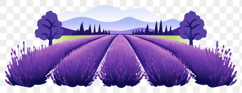 PNG France lavender outdoors nature. 