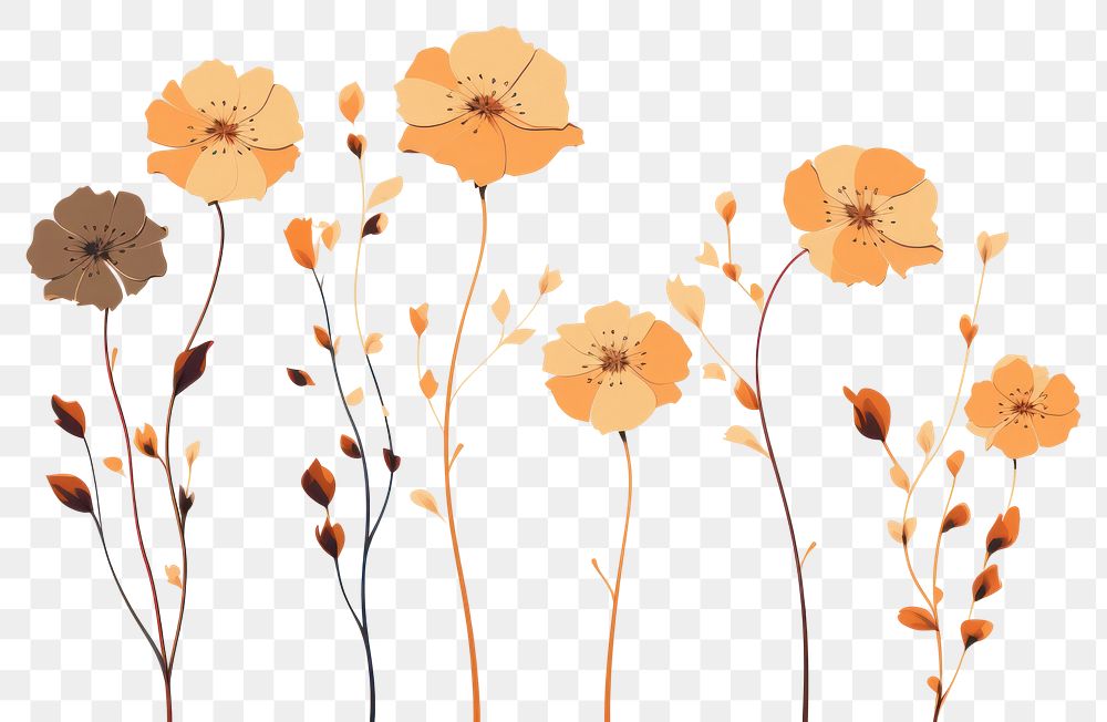PNG Dry flowers pattern nature plant. AI generated Image by rawpixel.