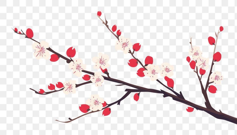 PNG Cherry blossom outdoors flower nature. 