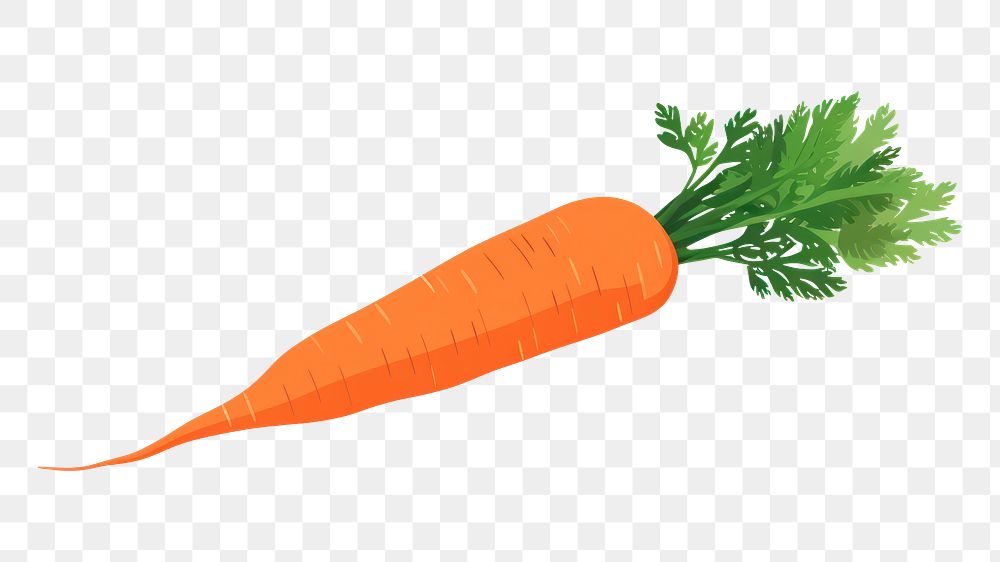 PNG Carrot food vegetable plant. 