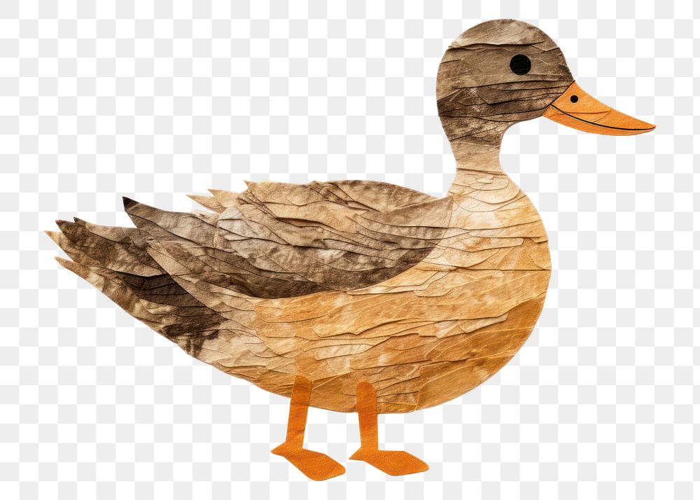 PNG Duck duck animal bird. 