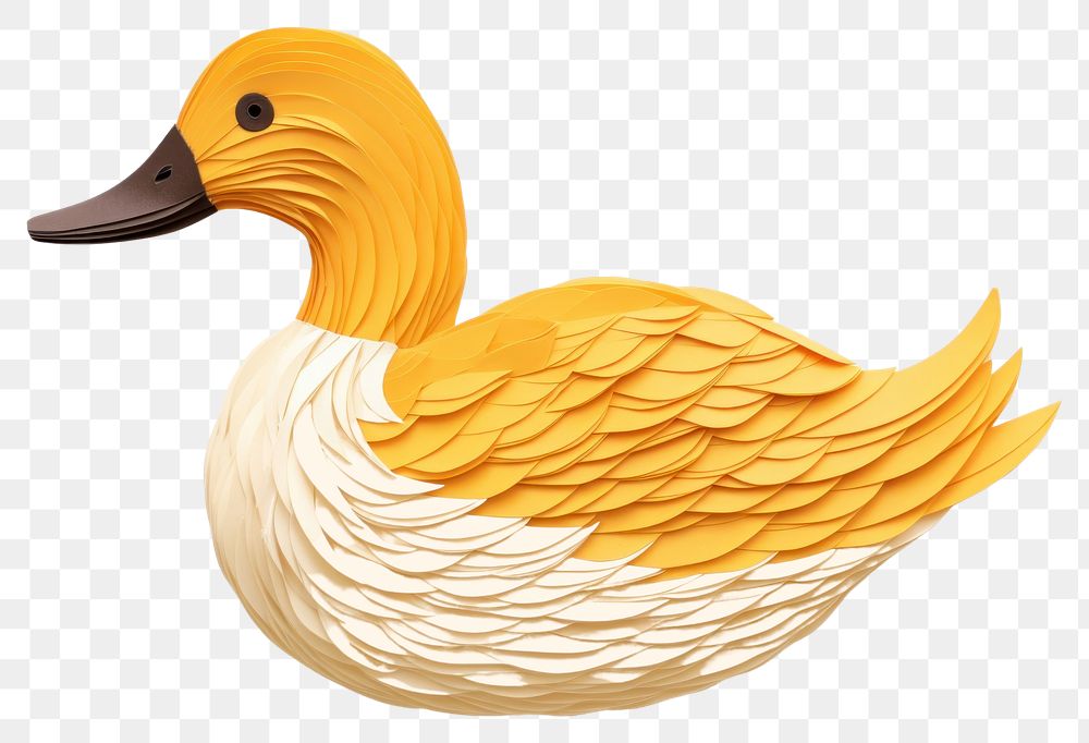 PNG Duck duck animal bird. AI generated Image by rawpixel.