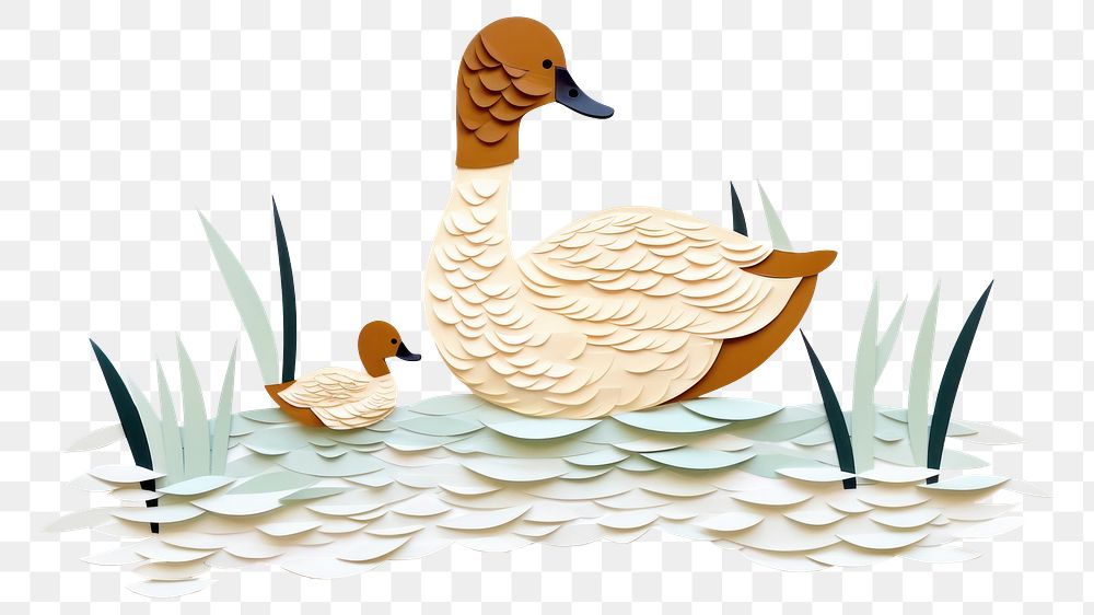 PNG Ducks duck animal goose. 