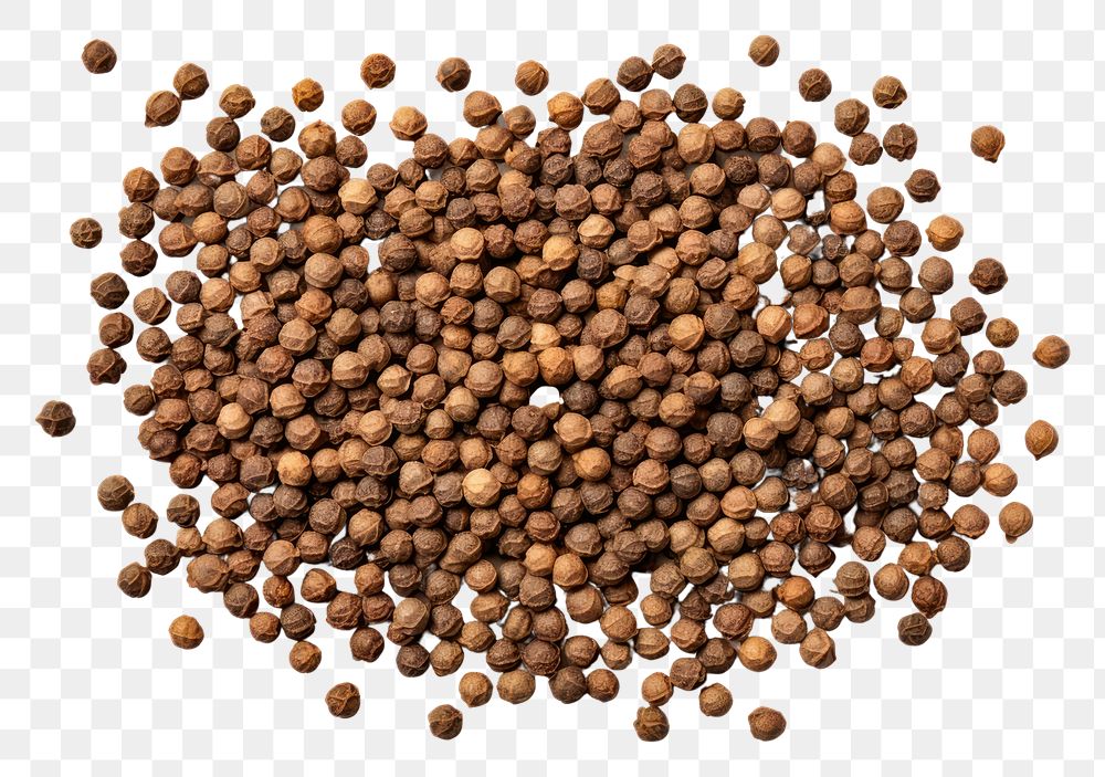 PNG Coriander seeds backgrounds food  