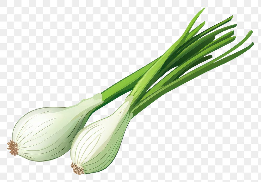 PNG Scallion vegetable plant food. AI generated Image by rawpixel.